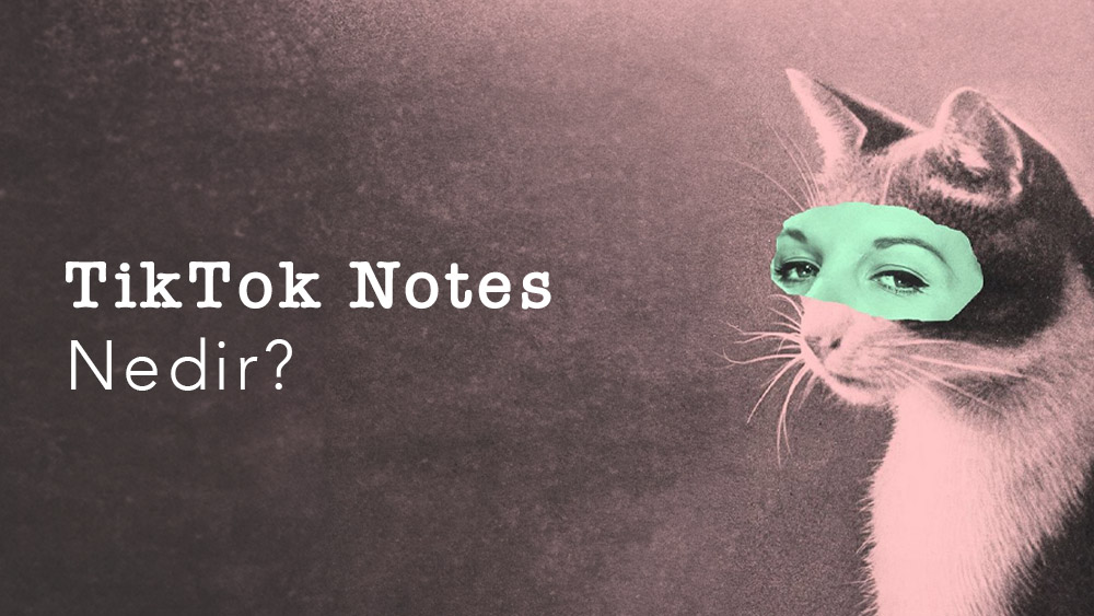 TikTok Notes Nedir?
