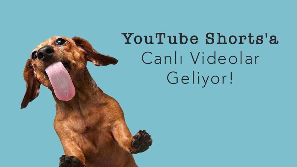 YouTube Shorts'a Canlı Videolar Geliyor!