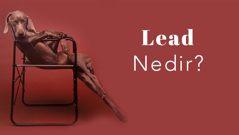 Lead Nedir?