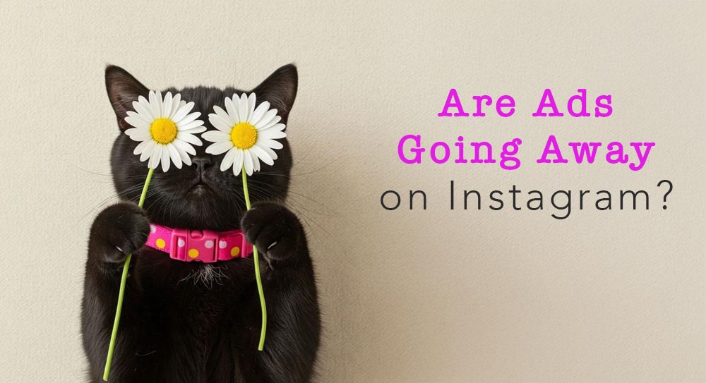 Instagram’da Reklamlar Kalkıyor mu?