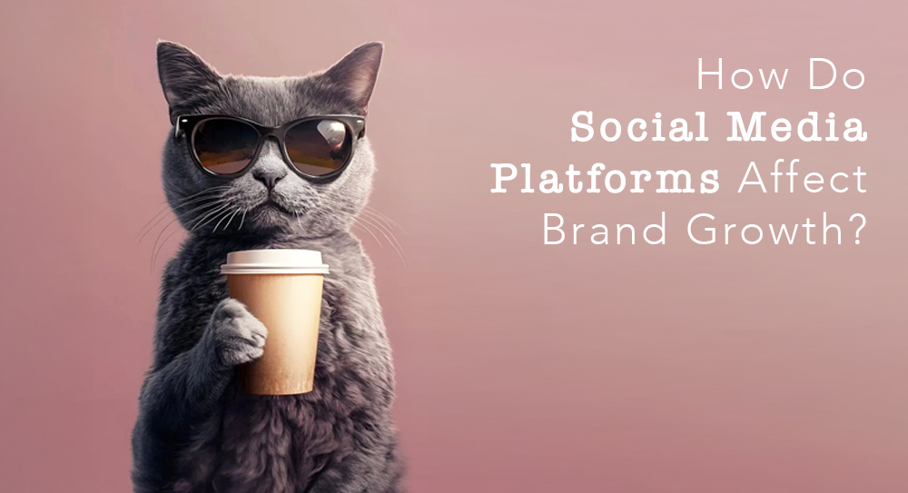 How Do Social Media Platforms Affect Brand Growth?