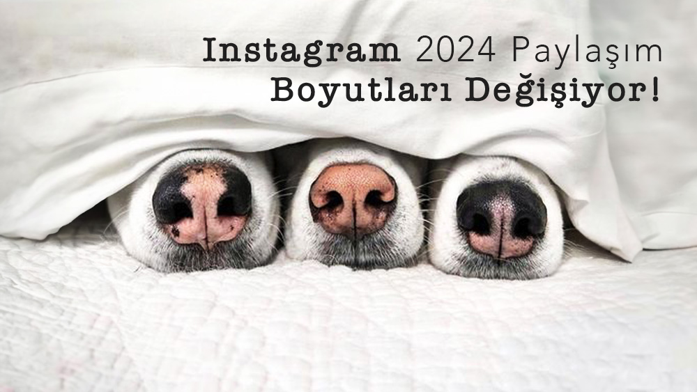 Instagram 2024 Paylaşım Boyutları Değişiyor!