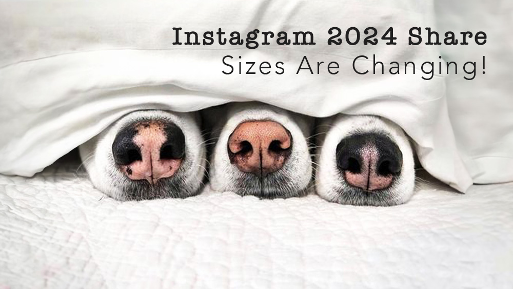 Instagram 2024 Share Sizes Are Changing!