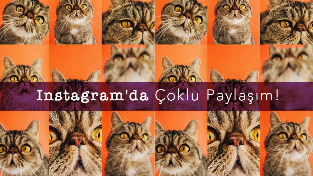 Instagram'da Çoklu Paylaşım!