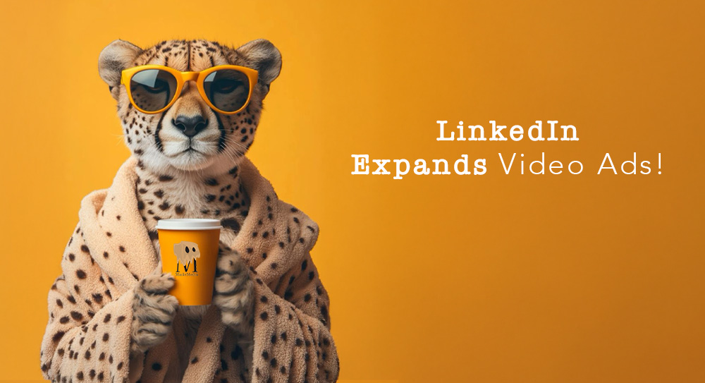 LinkedIn, Video Reklamlarını Genişletiyor!