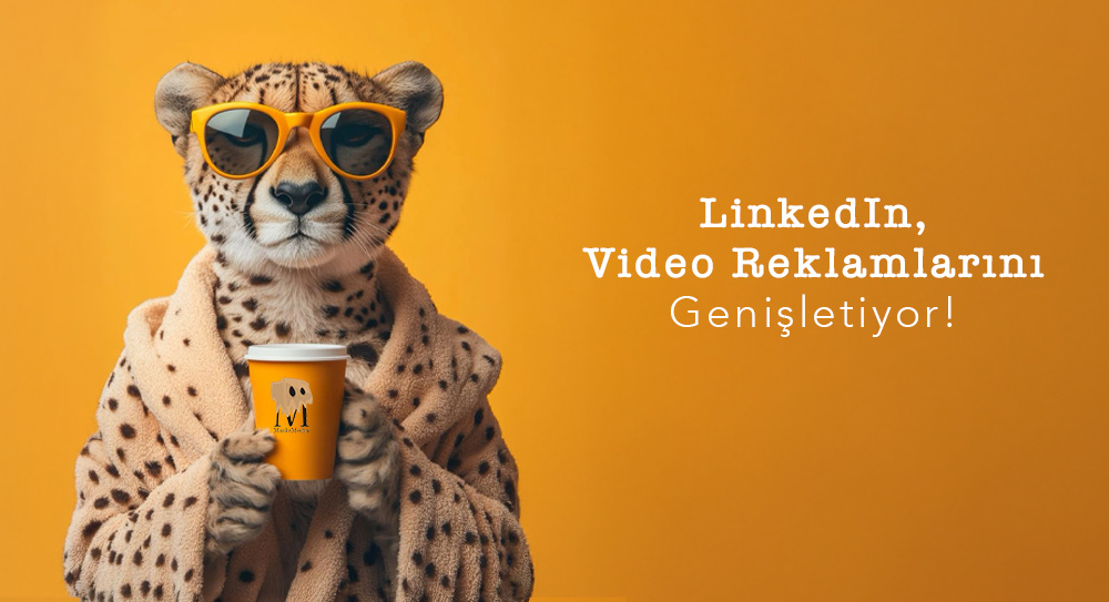 LinkedIn, Video Reklamlarını Genişletiyor!