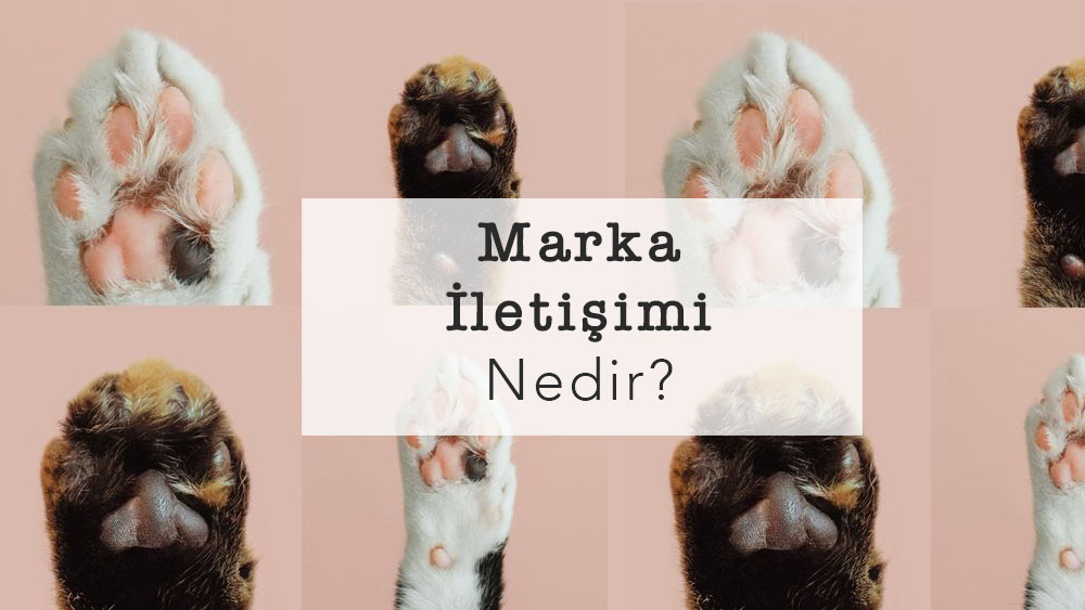 Marka İletişimi Nedir?