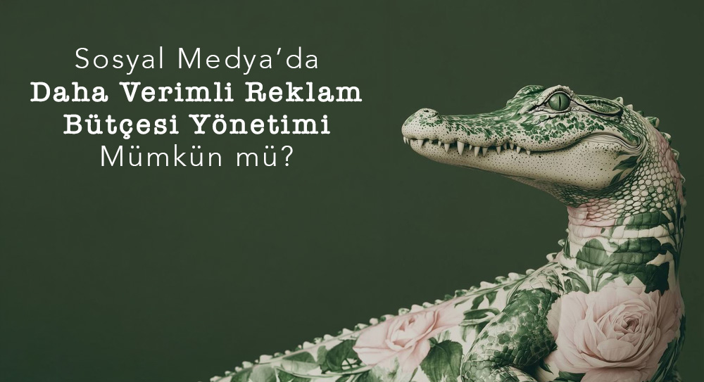 Sosyal Medya’da Daha Verimli Reklam Bütçesi Yönetimi Mümkün mü?