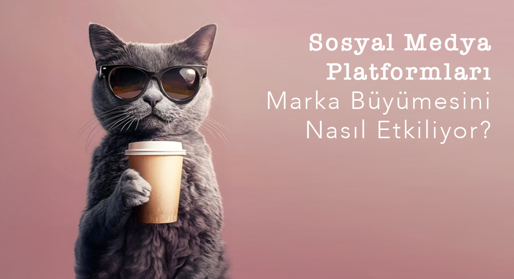 Sosyal Medya Platformları Marka Büyümesini Nasıl Etkiliyor?