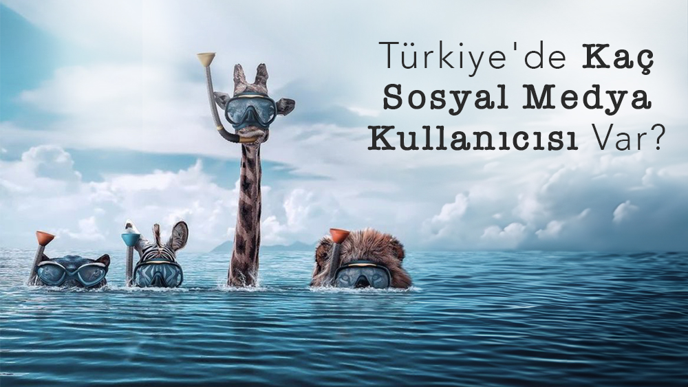 Türkiye'de Kaç Sosyal Medya Kullanıcısı Var?